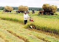 Investment prioritized for agriculture-farmers-rural areas 